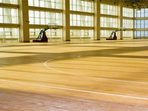 森體木業 圖 實木運動地板價格 松原實木運動地板