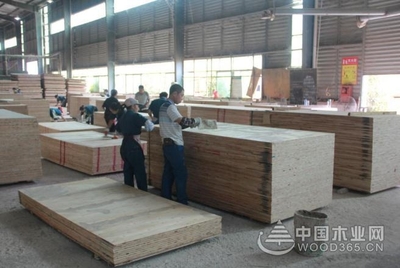 好板材,格綠造--中國木業(yè)網(wǎng)走進(jìn)福建格綠木業(yè)