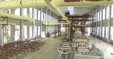 臨沂蘭山區(qū) 從“木業(yè)之都”到“綠色智造”的轉(zhuǎn)型之路